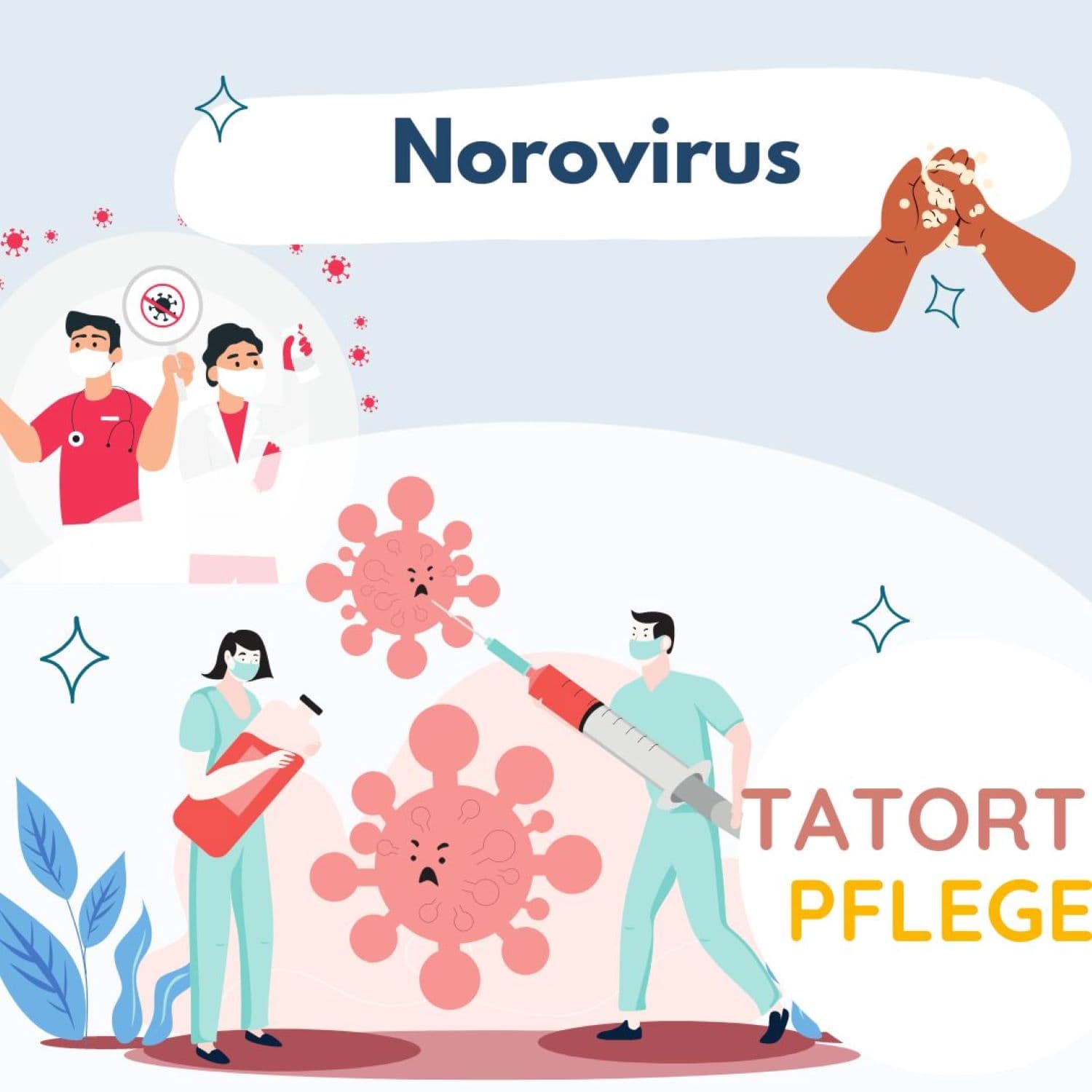 das Norovirus